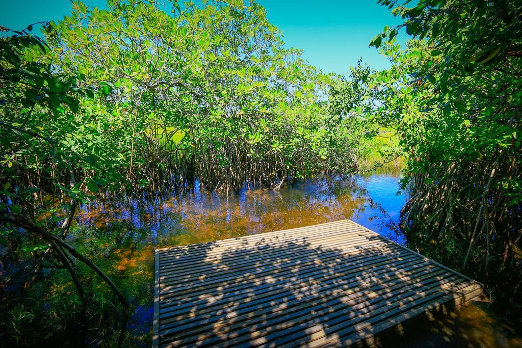 Pousada Ecologica Bangalo De Praia Итасимирим Номер фото