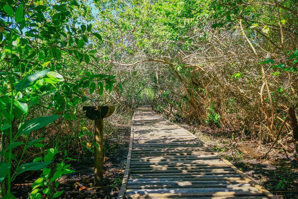 Pousada Ecologica Bangalo De Praia Итасимирим Номер фото